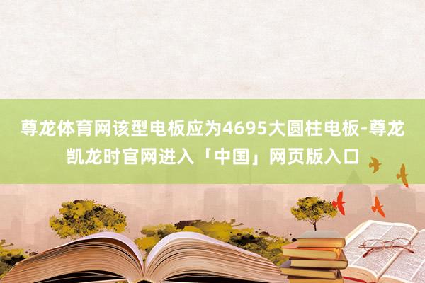 尊龙体育网该型电板应为4695大圆柱电板-尊龙凯龙时官网进入「中国」网页版入口