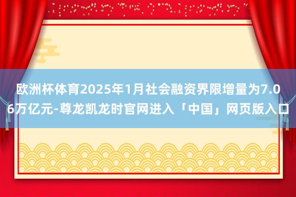 欧洲杯体育2025年1月社会融资界限增量为7.06万亿元-尊龙凯龙时官网进入「中国」网页版入口